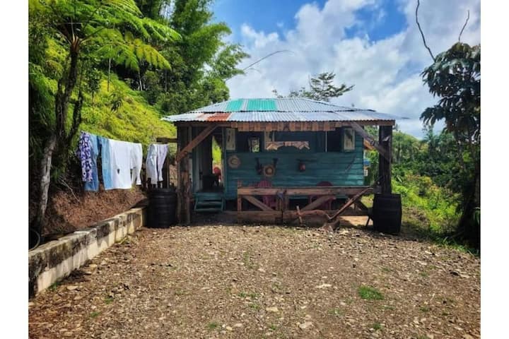 Grandpa House Lake Country Museum Nature - Puerto Rico