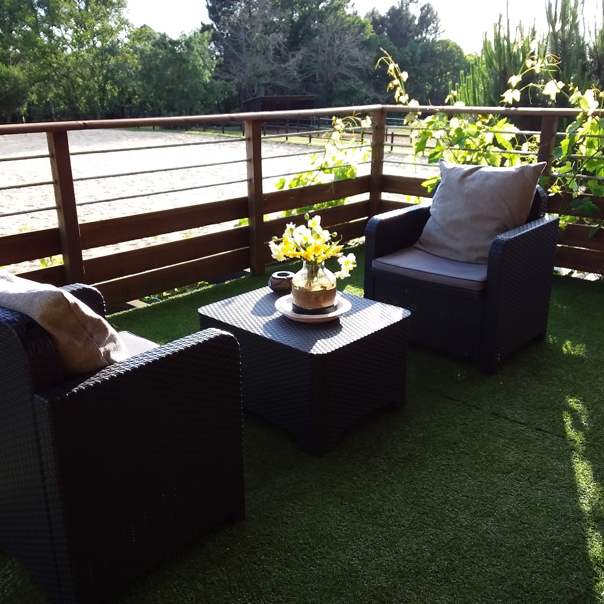 A welcoming terrace area is shown, featuring two comfortable chairs with cushions and a small table at the center. A floral arrangement adds a touch of nature, while the surrounding greenery enhances the serene outdoor space.