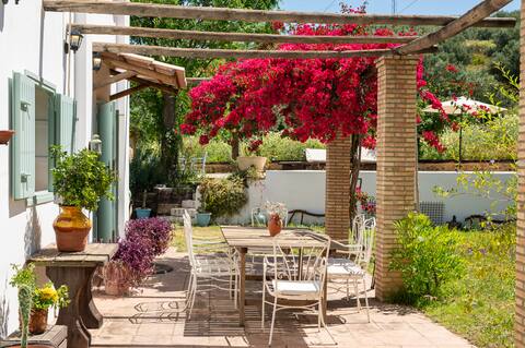 Beautiful Country House Near Sevilla