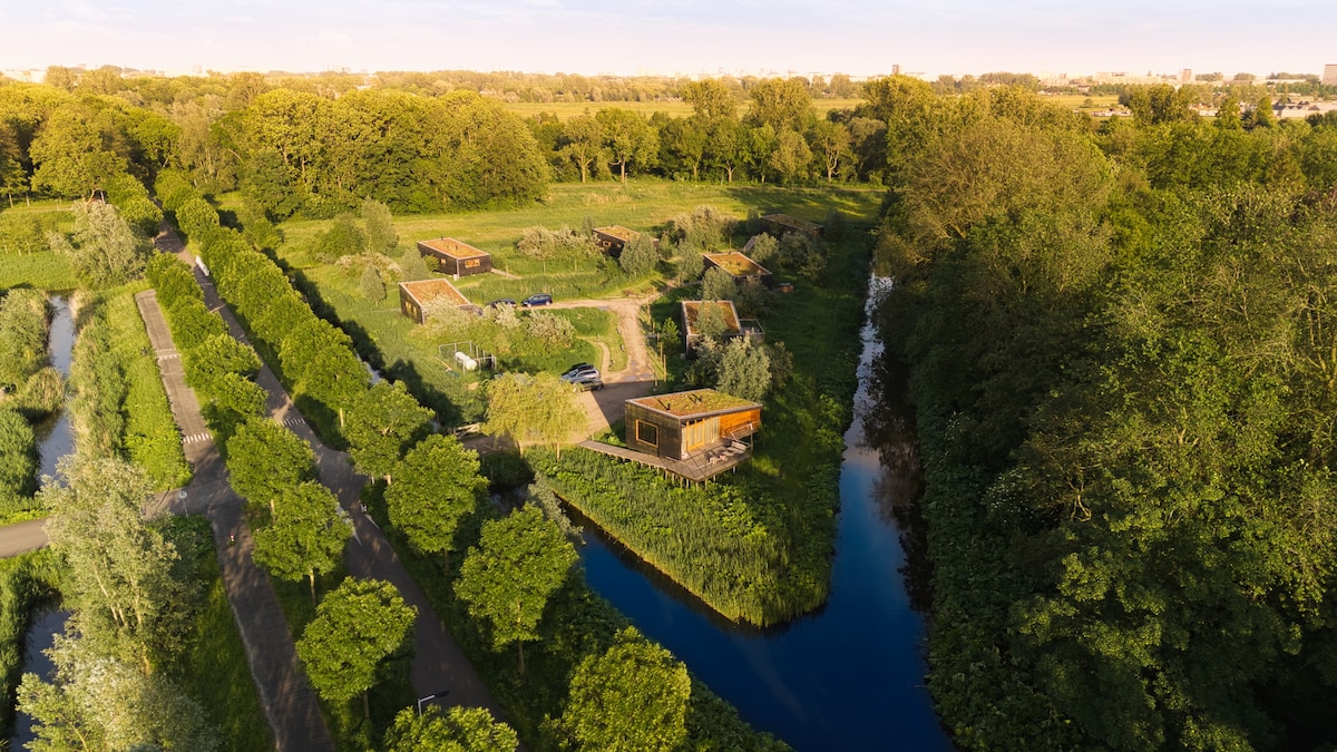 An aerial view showcases the compact wooden villas nestled above lush greenery, surrounded by winding waterways. Each villa is set apart in the tranquil polder landscape, emphasizing the peaceful natural environment. The scene is complemented by a clear blue sky and dense trees.
