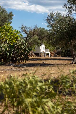 Masseria La Calma gallery image 5
