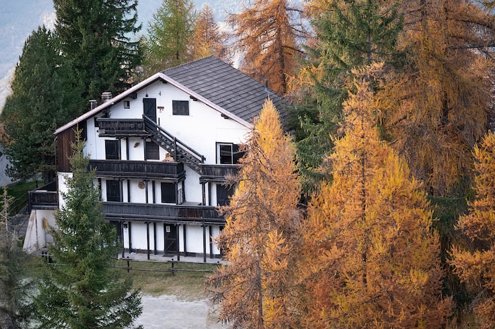 Angolo Del Bosco - Cogne