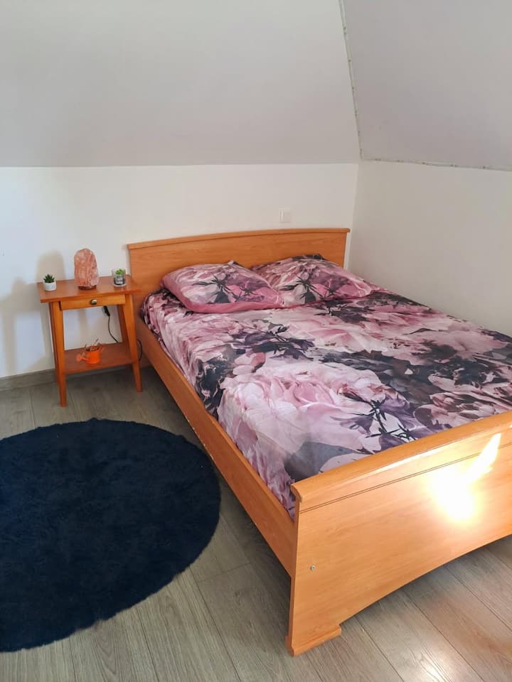 Habitación 1