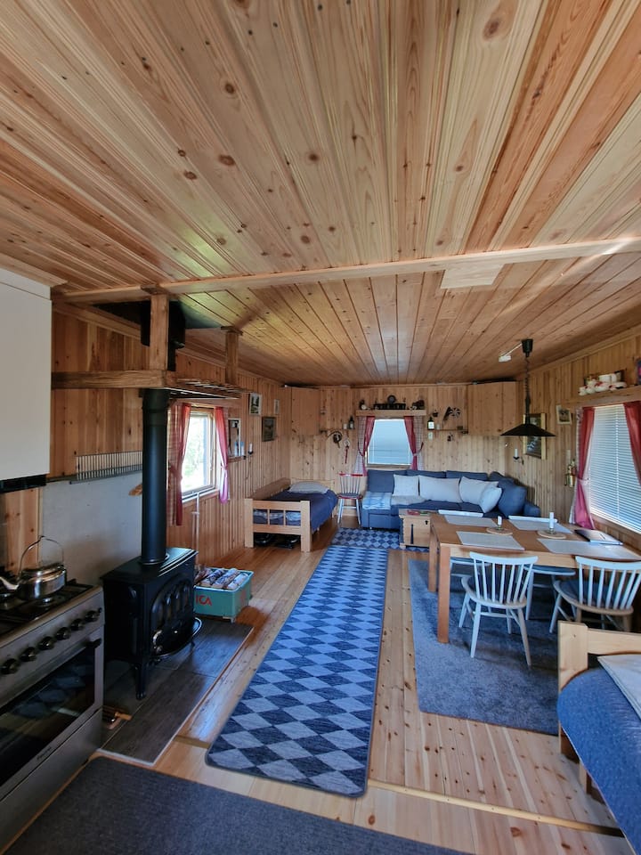 Kuhinja na lijevoj strani Kamin, ogledalo, krevet od 80 cm moguće je napraviti kauč od više od 160 cm koji je također moguće pretvoriti u krevet od 140 cm. Kuhinjski stol pored prozora. Na desnoj strani nalazi se isti krevet od 80 cm, moguće je napraviti 160 cm.