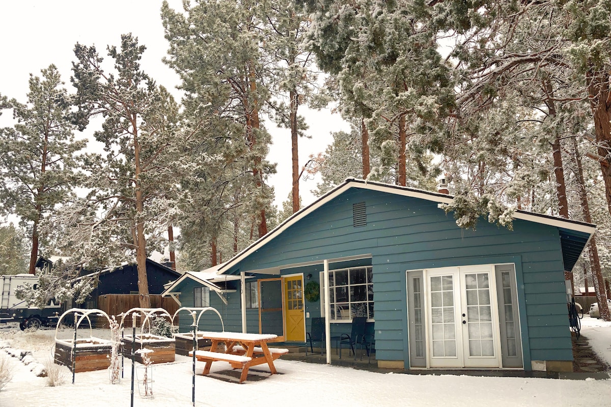 A charming blue exterior of a single-story home is surrounded by snow-covered trees. A picnic table is placed on a snow-covered patio in front, while glass doors lead into the house. The scene captures a serene winter atmosphere.