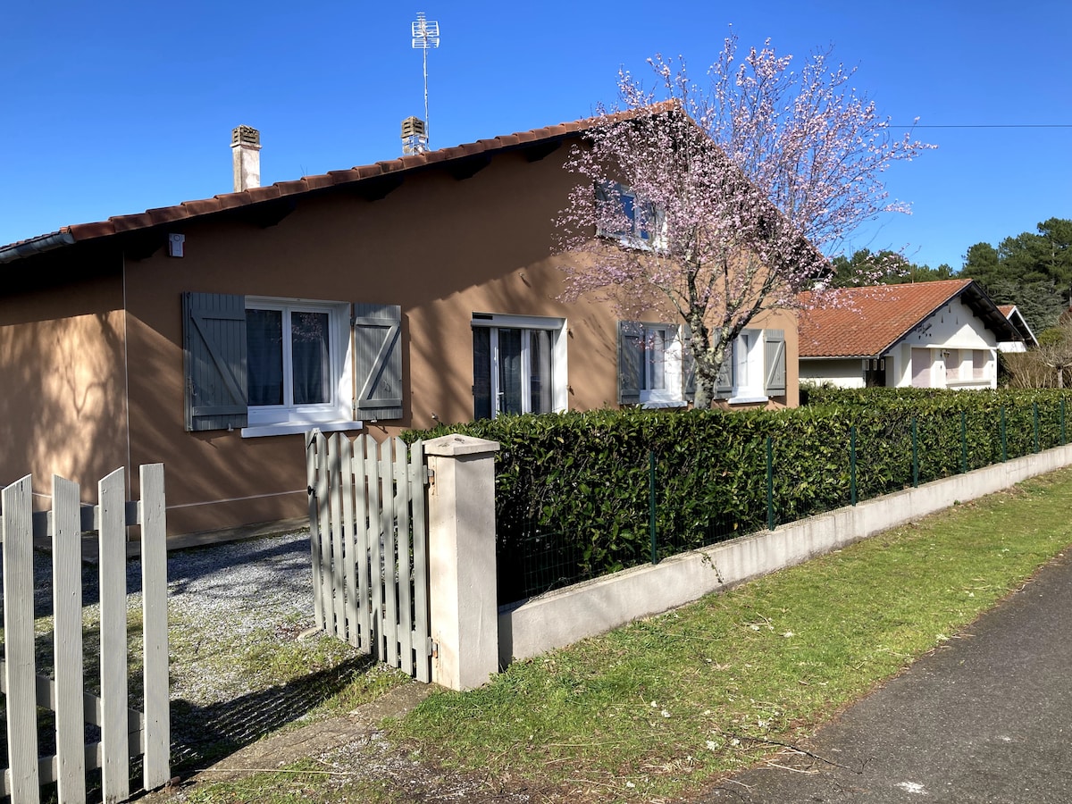A two-story house is surrounded by greenery, featuring a manicured hedge and a wooden picket fence. Large windows are framed with shutters, allowing natural light to fill the interior. A blooming cherry tree enhances the exterior, contributing to the home's inviting appearance.