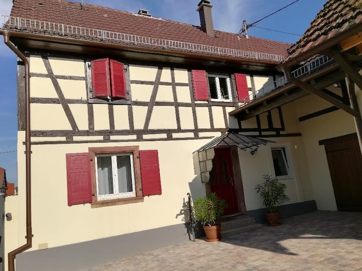 Au Bon Kougelhof - Alsace