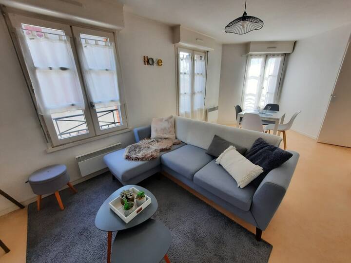 Appartement Plein Centre Style Scandinave - Tournefeuille