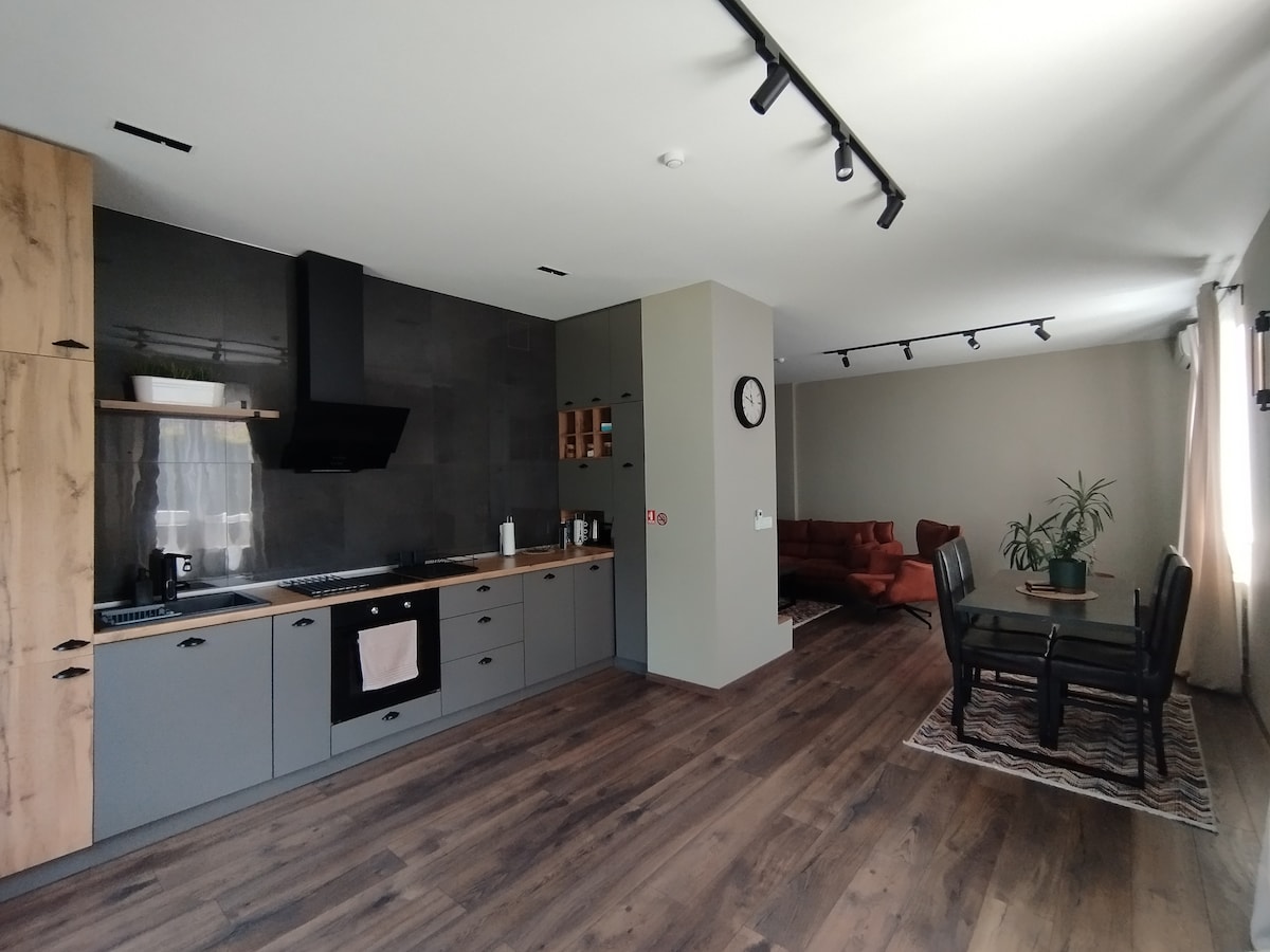 The kitchen area is designed with modern cabinetry and a dark backsplash, featuring an oven and stove. Adjacent, a dining area with a glass table and four chairs is visible, alongside a cozy living space furnished with a red sofa and a plant in natural light.