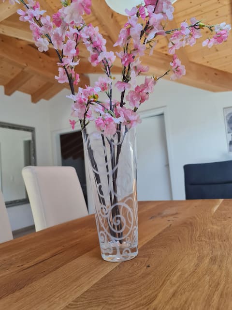 Penthouse Jungfrau - Aare Jungfrau AG