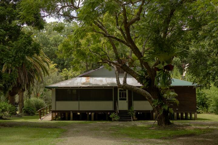 The old timber mill home