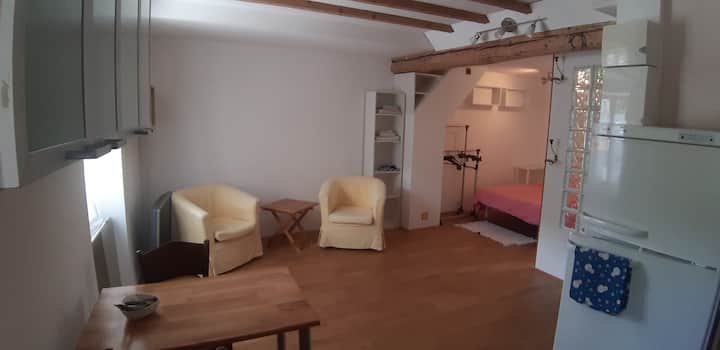 Une table de cuisine et deux chaises
Deux carpeaux et une table basse pliantes
Une étagère
Une penderie
Un lit double
