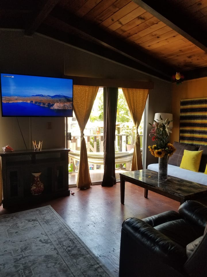 dhomë ndenjjeje e bollshme me pamje nga kopshti dhe ballkoni i bukur... në të cilin mund të  pushosh .