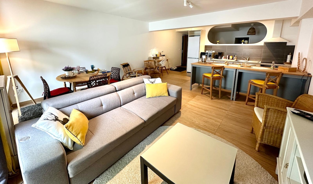 Propriété Airbnb réussie: Peaceful apartment in the heart of old Metz. à Metz