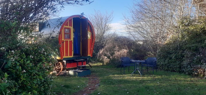 Gypsy Gem - Te Anau