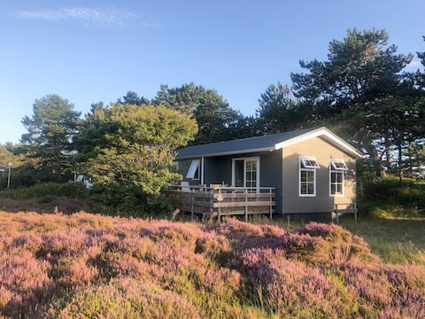 Cottage on the heath