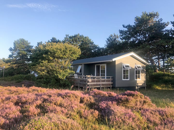 Huisje Op De Hei - Texel
