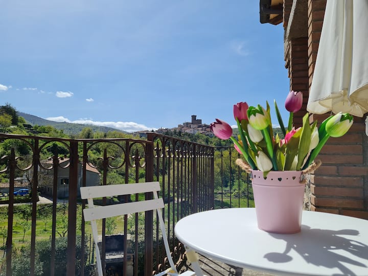 Flat With Panoramic Balcony - Santa Fiora