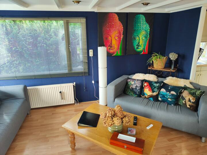 Chalet De Tureluur - Drente