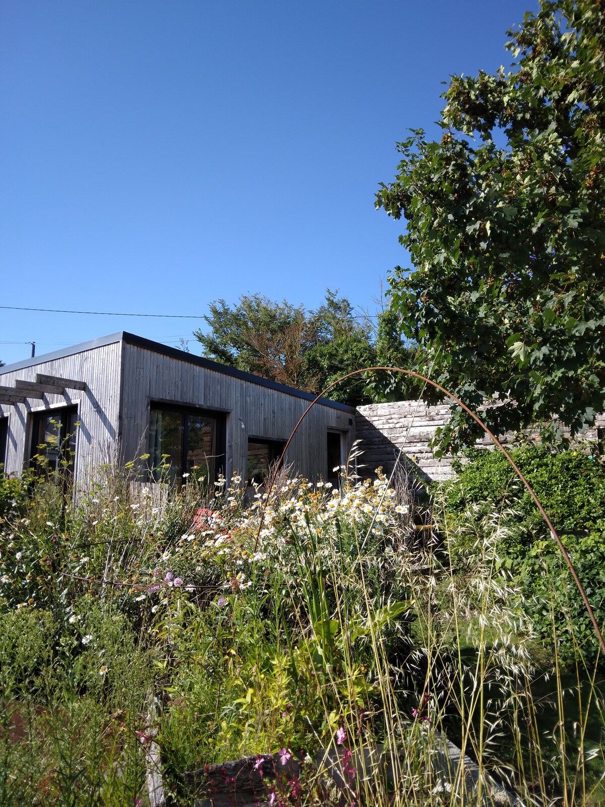 The exterior of a charming eco-friendly house is surrounded by a vibrant garden filled with blooming flowers and greenery. Large windows reflect natural light, while the wooden structure blends harmoniously with the landscape under a clear blue sky.
