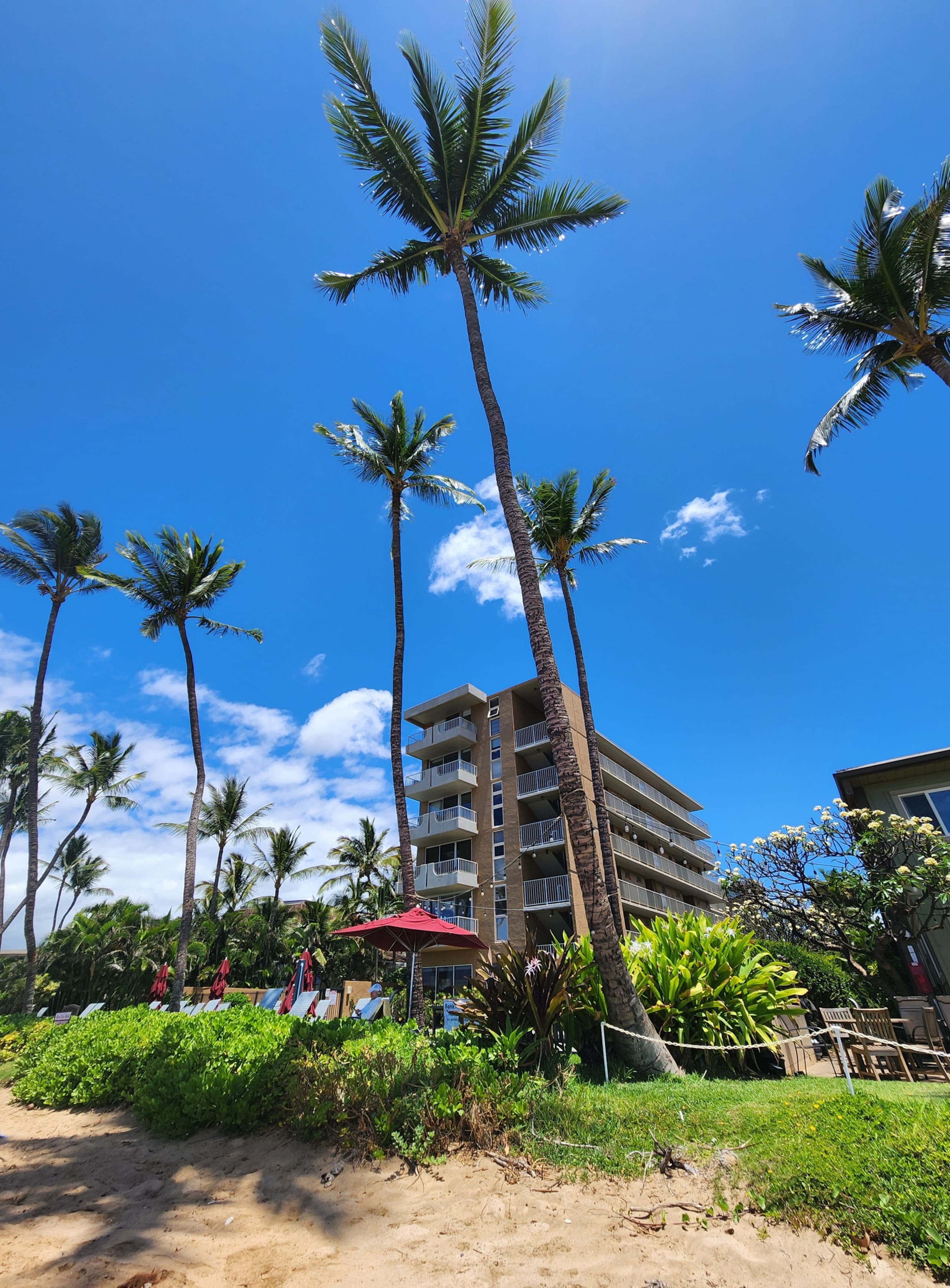 Condo in Kihei · ★4.85 · 1 bedroom · 2 beds · 2 private baths - Image 18