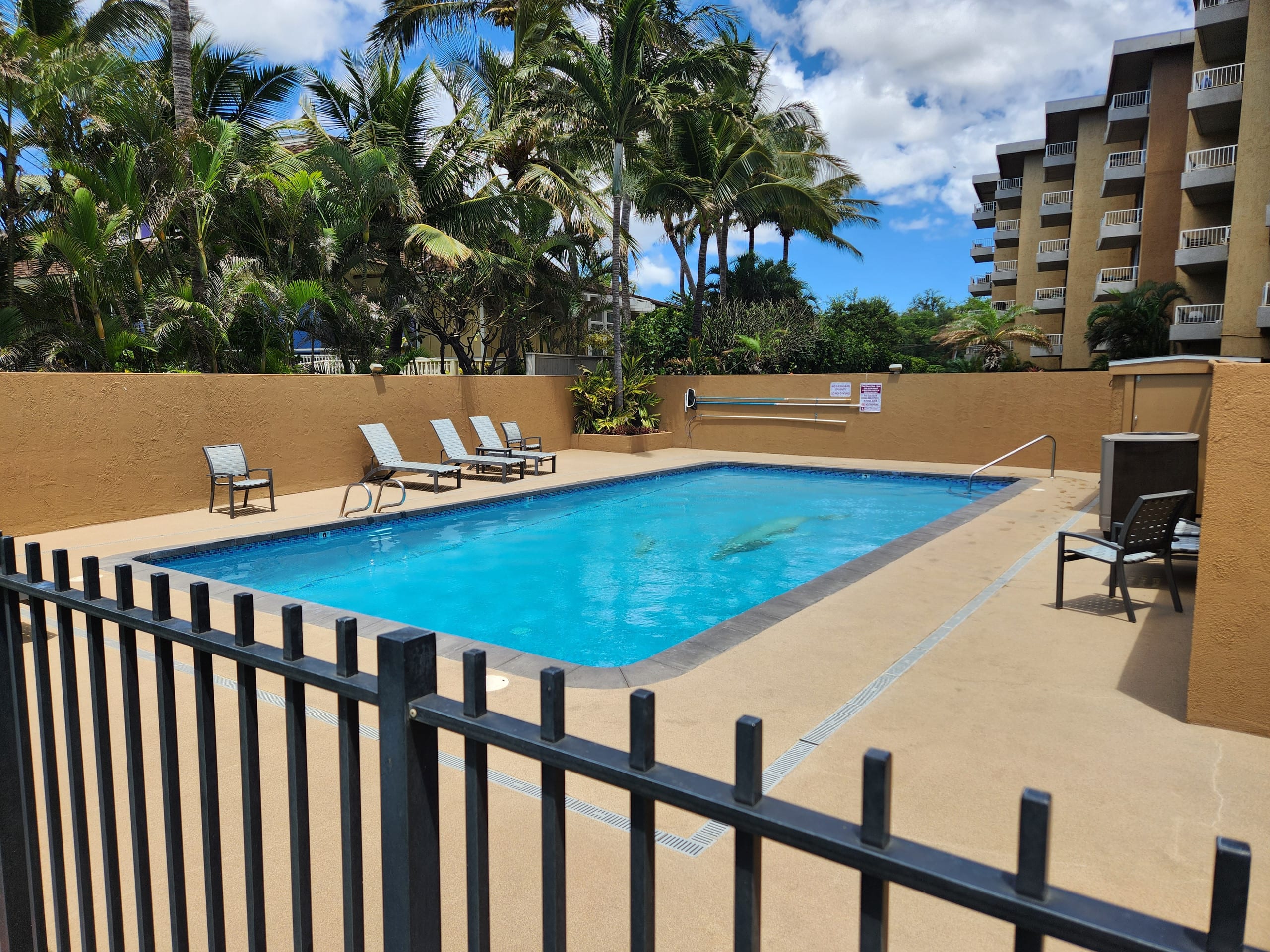 Condo in Kihei · ★4.85 · 1 bedroom · 2 beds · 2 private baths - Image 21