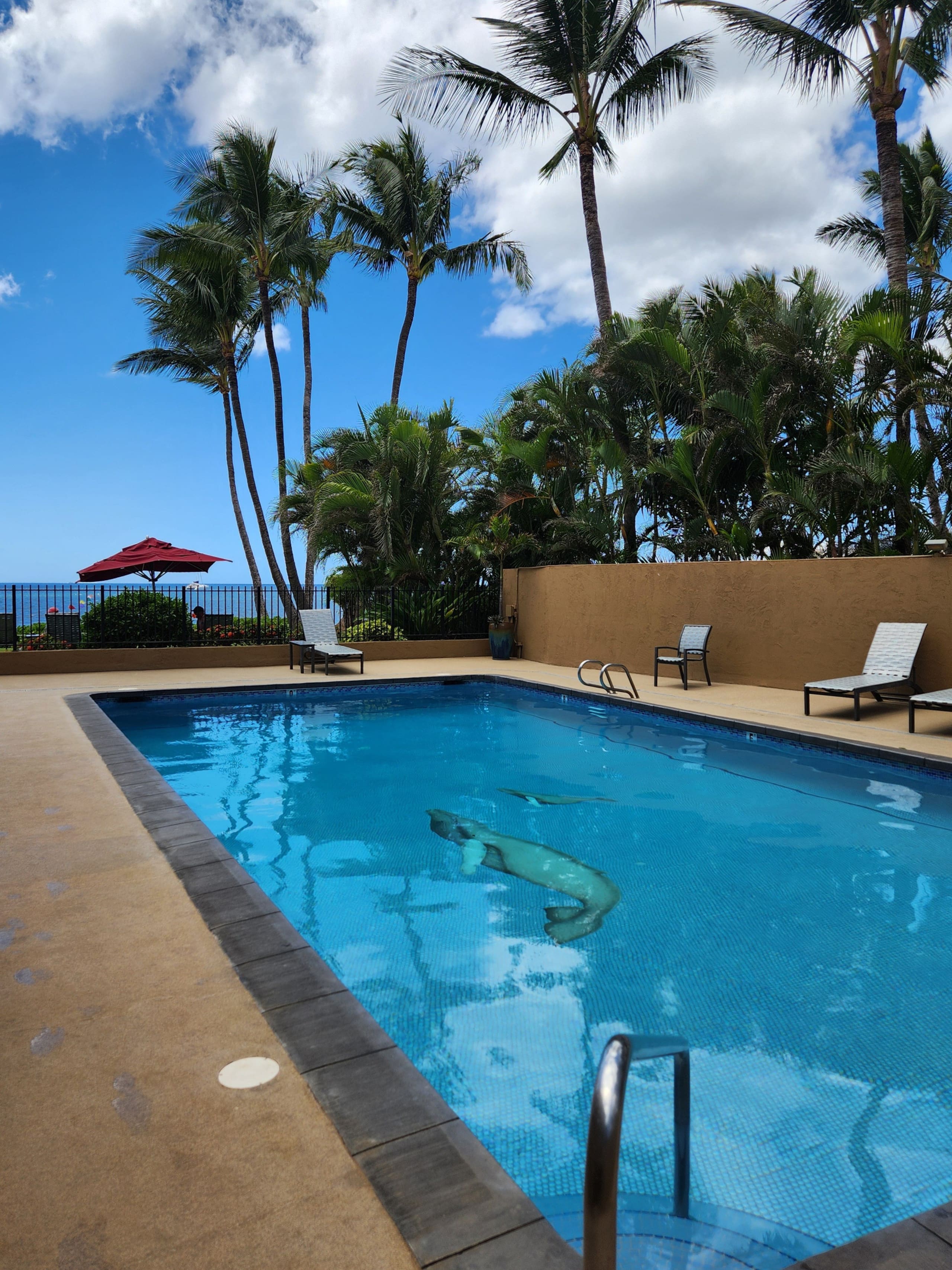 Condo in Kihei · ★4.85 · 1 bedroom · 2 beds · 2 private baths - Image 22