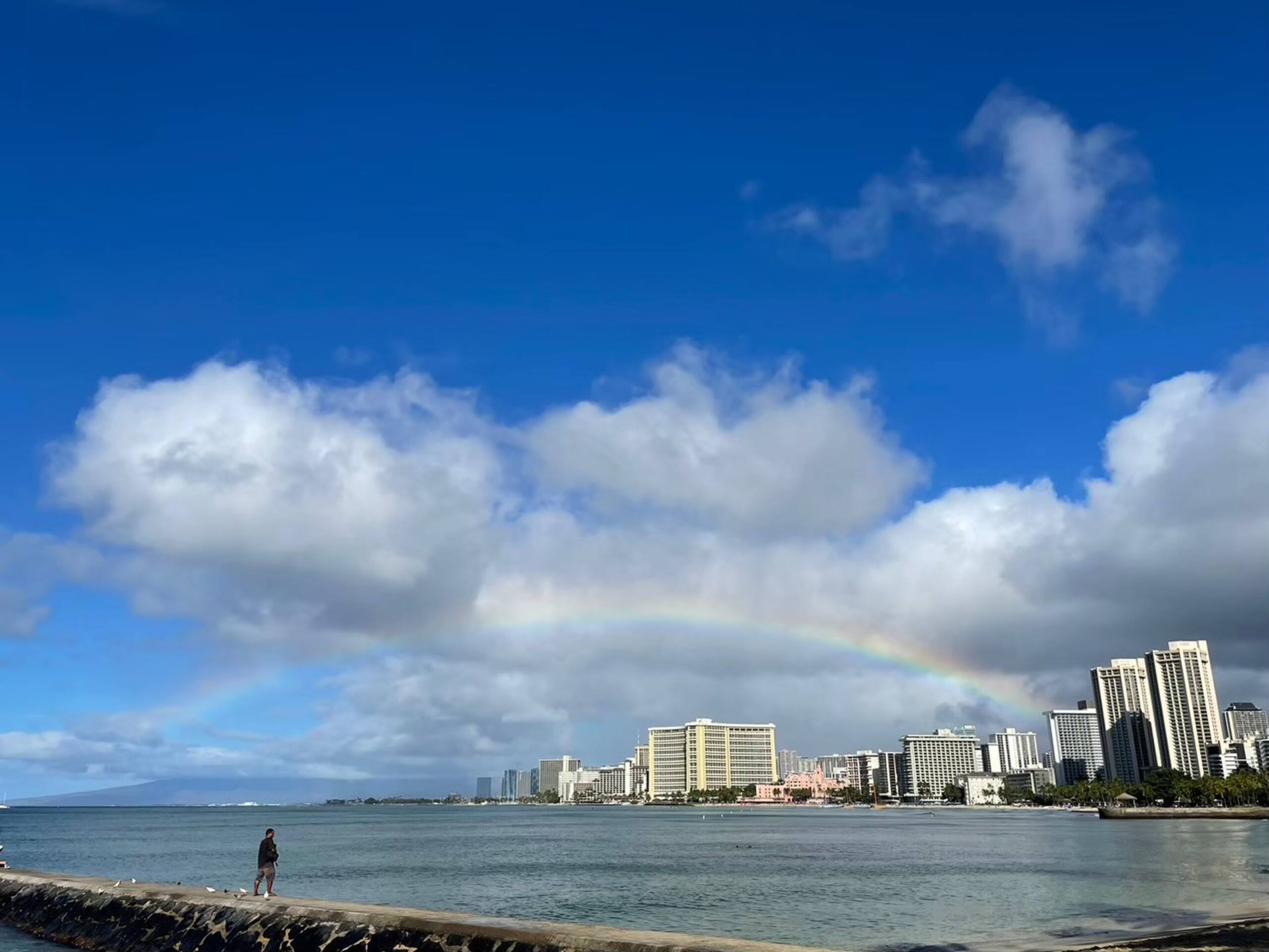 Condo in Honolulu · ★4.81 · 1 bedroom · 1 bed · 1 bath - Image 19