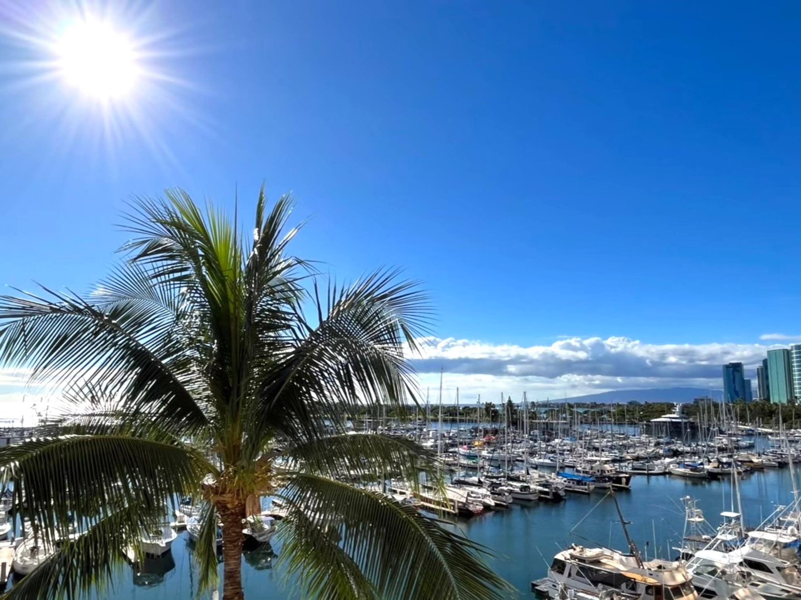 Condo in Honolulu · ★4.64 · 1 bedroom · 1 bed · 1 bath - Image 23