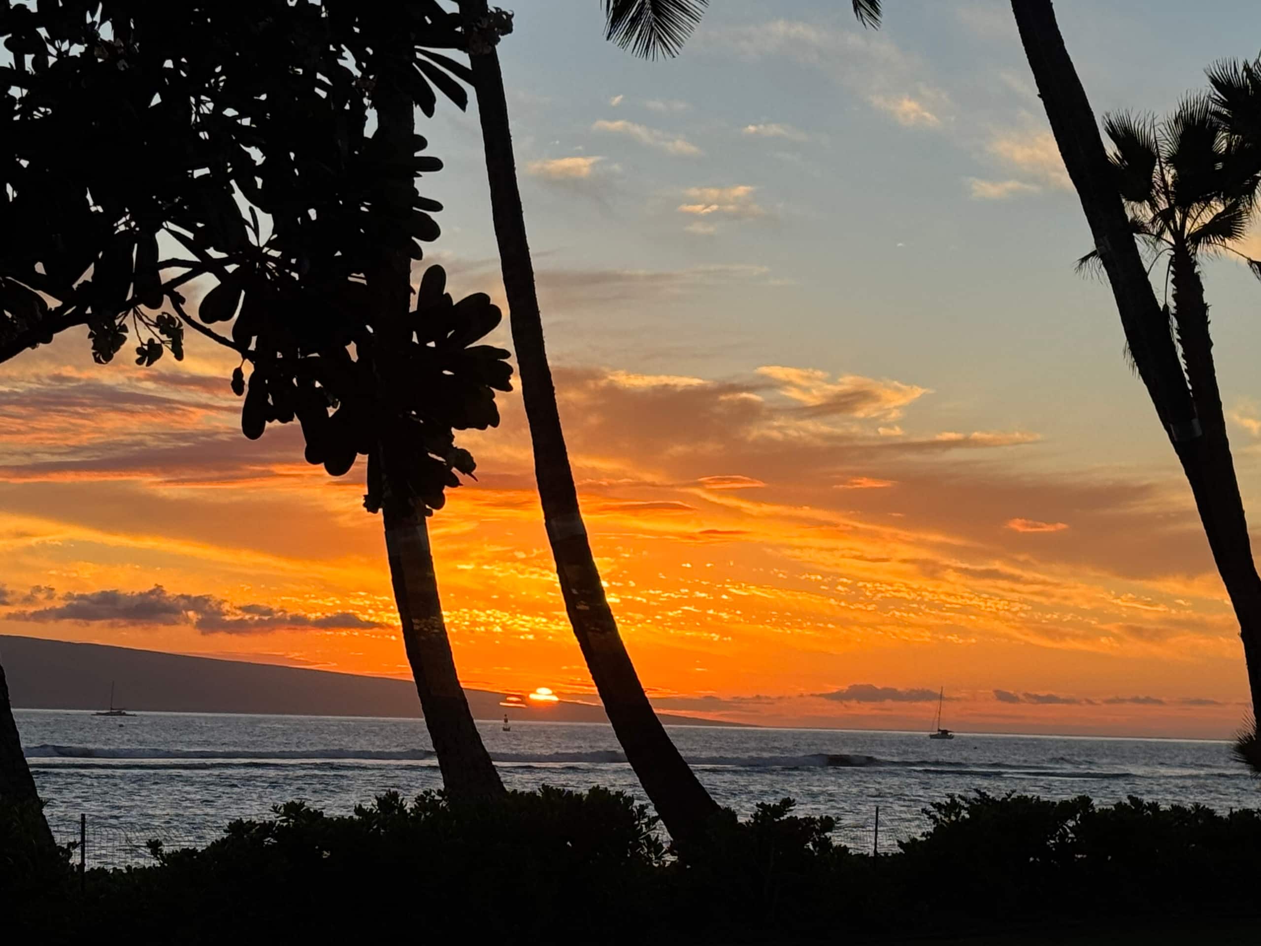 Condo in Lahaina · ★4.95 · Studio · 1 bed · 1 bath - Image 26