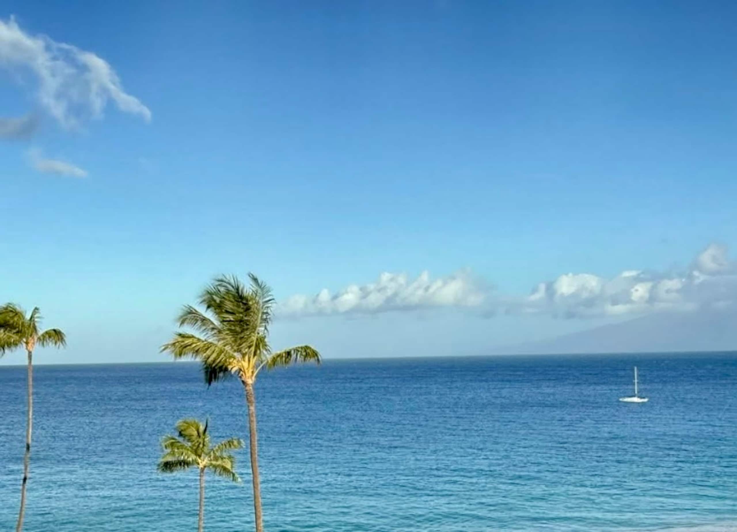 Condo in Lahaina · ★4.95 · Studio · 1 bed · 1 bath - Image 42