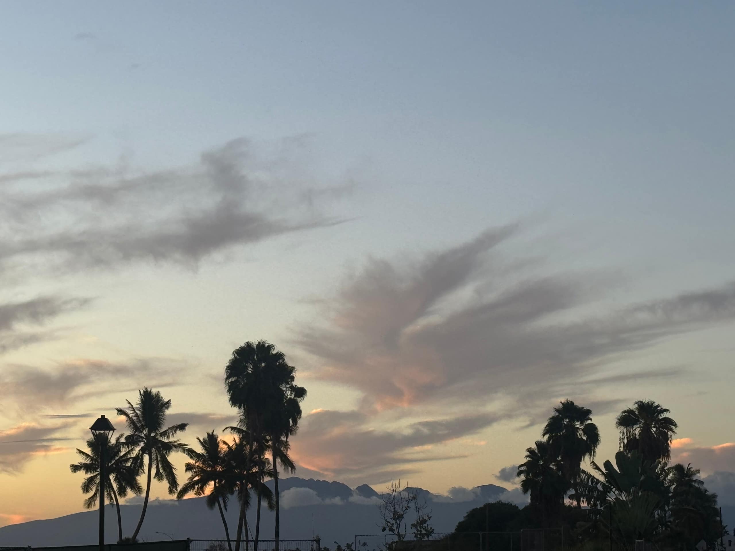 Condo in Lahaina · ★4.95 · Studio · 1 bed · 1 bath - Image 25