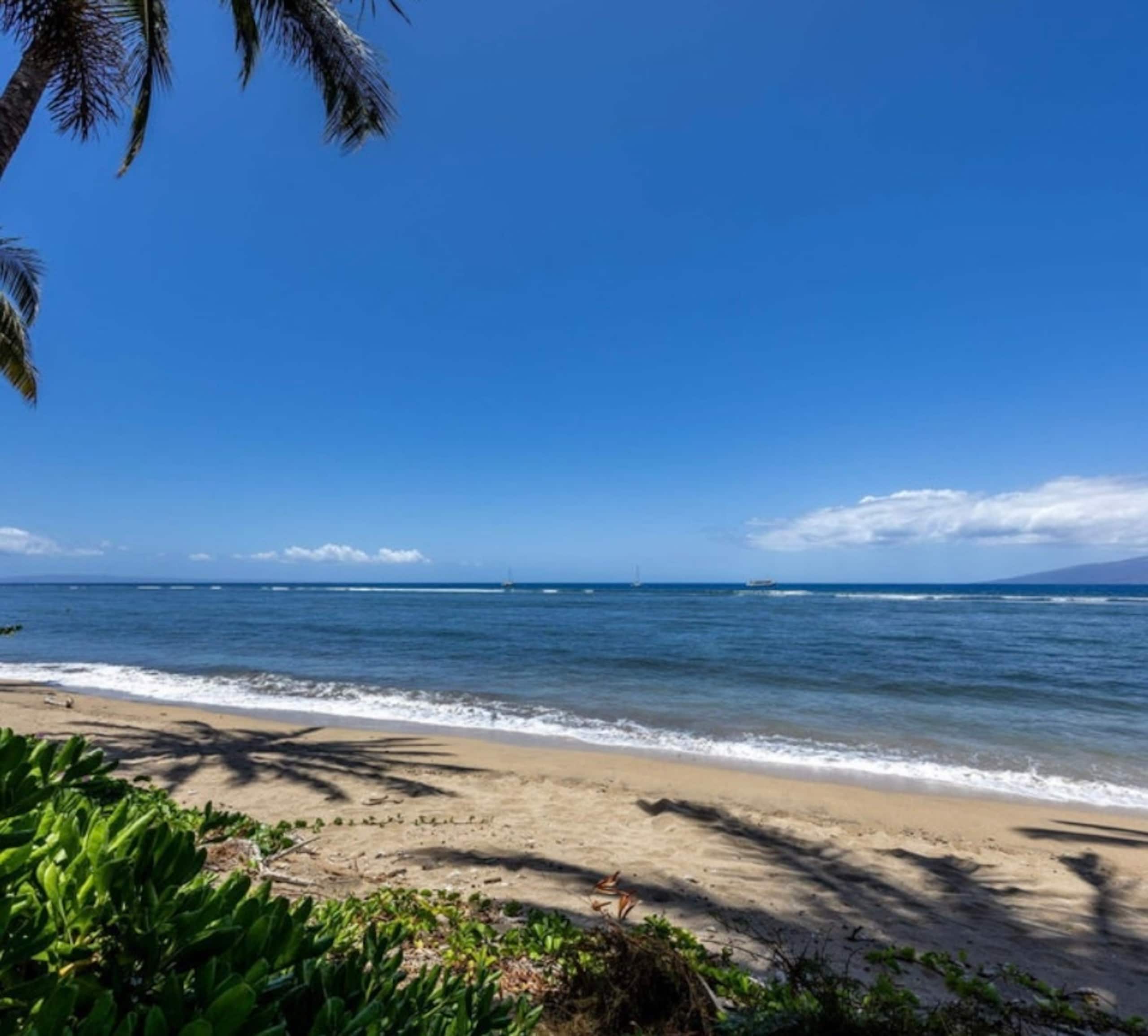 Condo in Lahaina · ★4.95 · Studio · 1 bed · 1 bath - Image 65