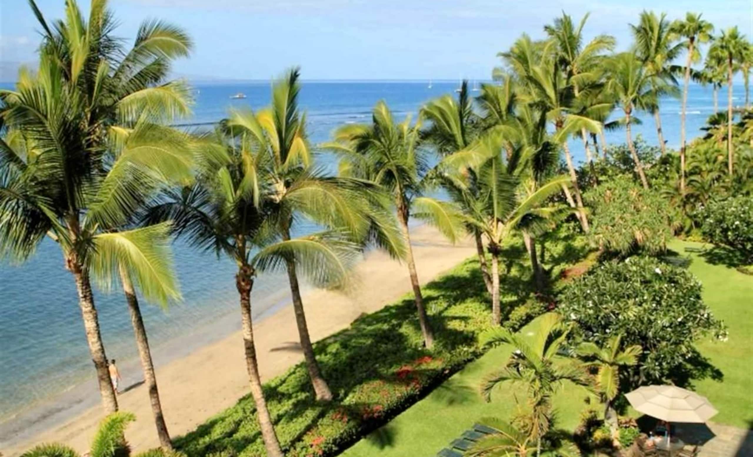 Condo in Lahaina · ★4.95 · Studio · 1 bed · 1 bath - Image 69