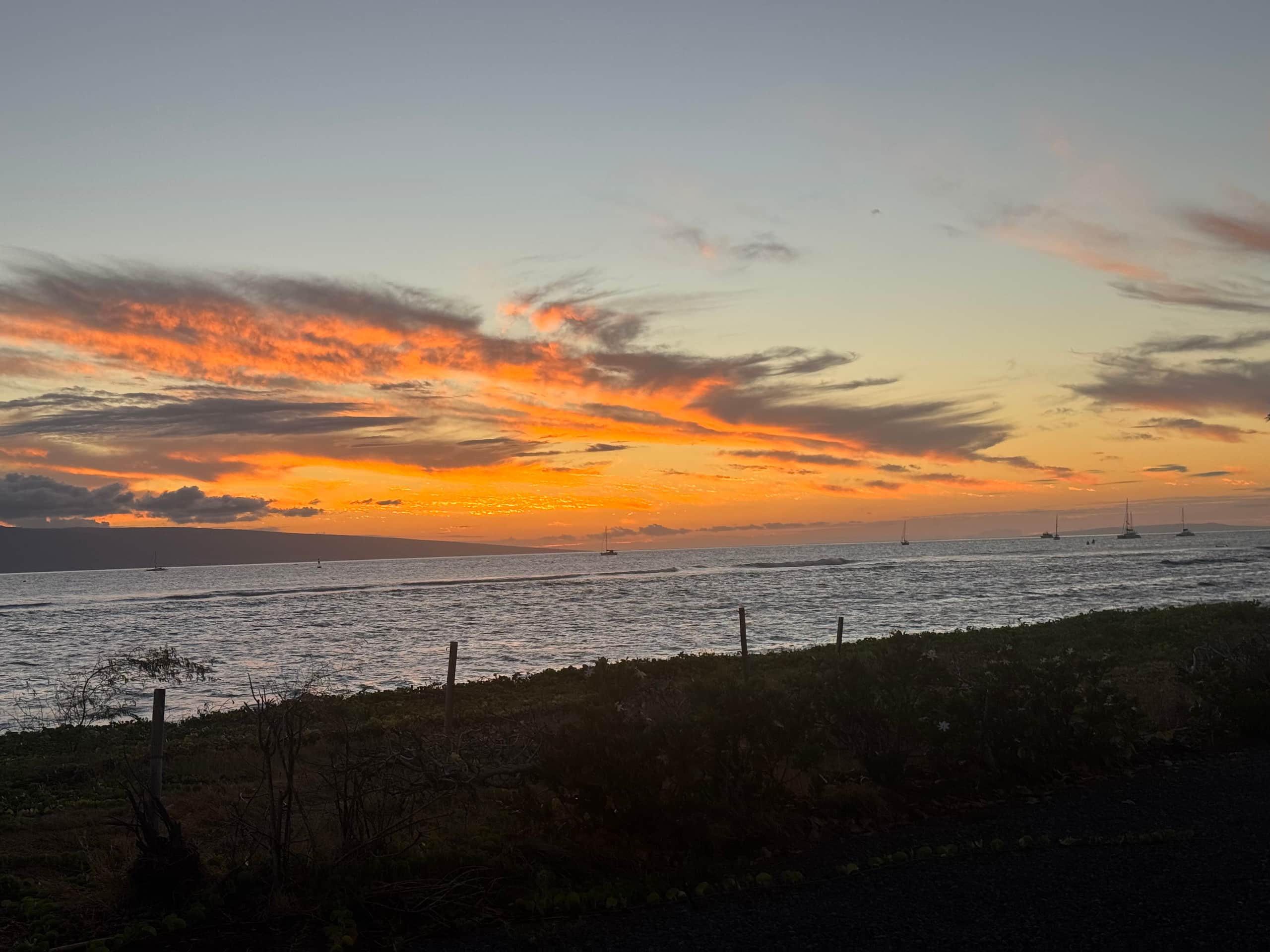 Condo in Lahaina · ★4.95 · Studio · 1 bed · 1 bath - Image 49