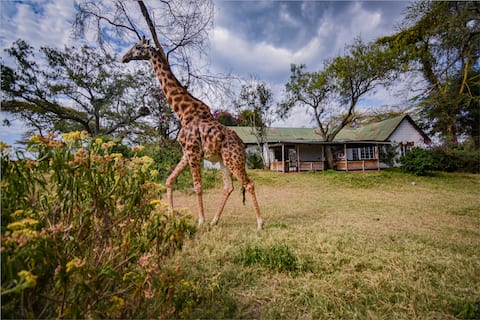 Crescent Island Hippo House
