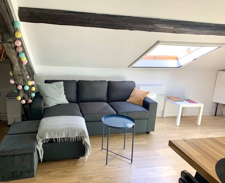 Charmant Appartement Centre Ville - Proche Paris - Fontenay-sous-Bois