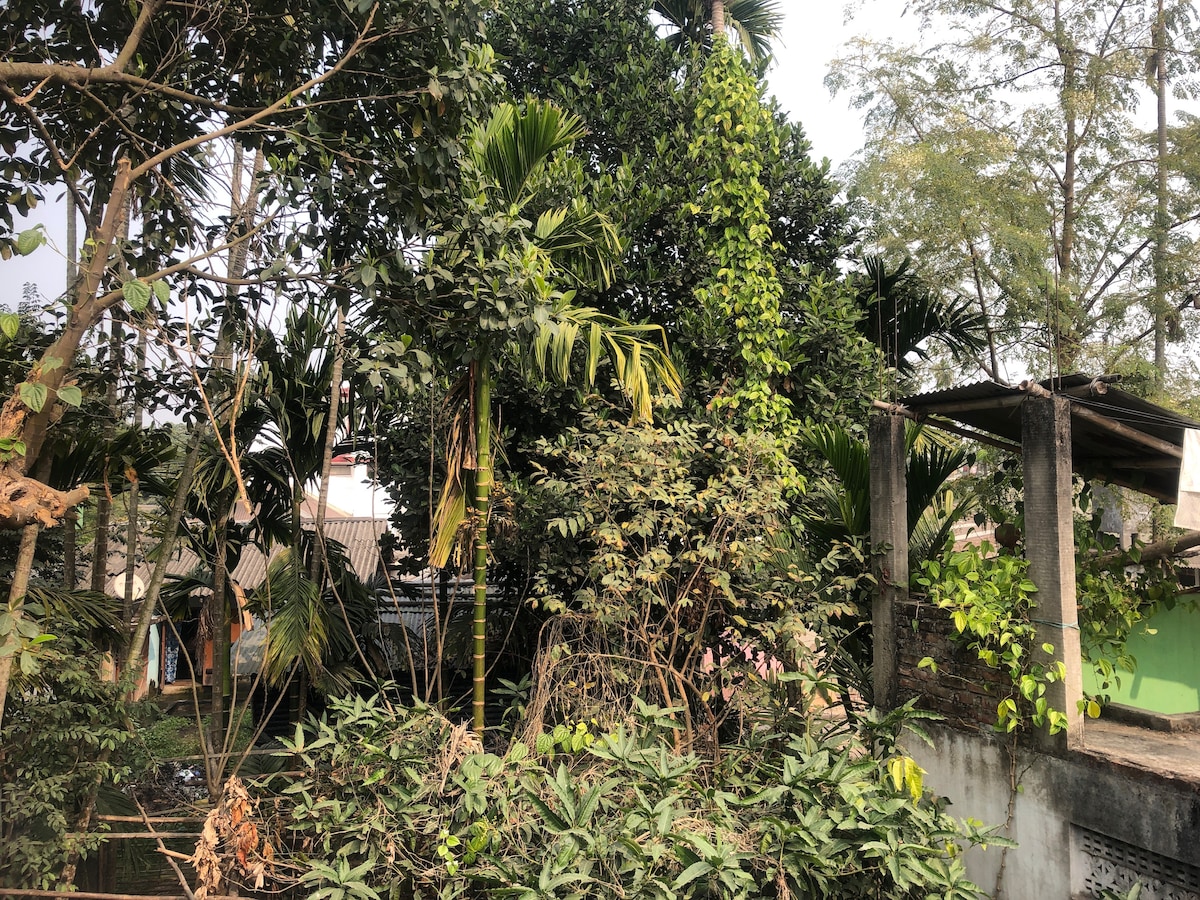 Lush greenery surrounds the property, featuring a variety of palm and shrubbery. The scene includes a mixture of trees and plants that create a natural, leafy environment. Sunlight filters through the foliage, highlighting the vibrant tones of the vegetation.