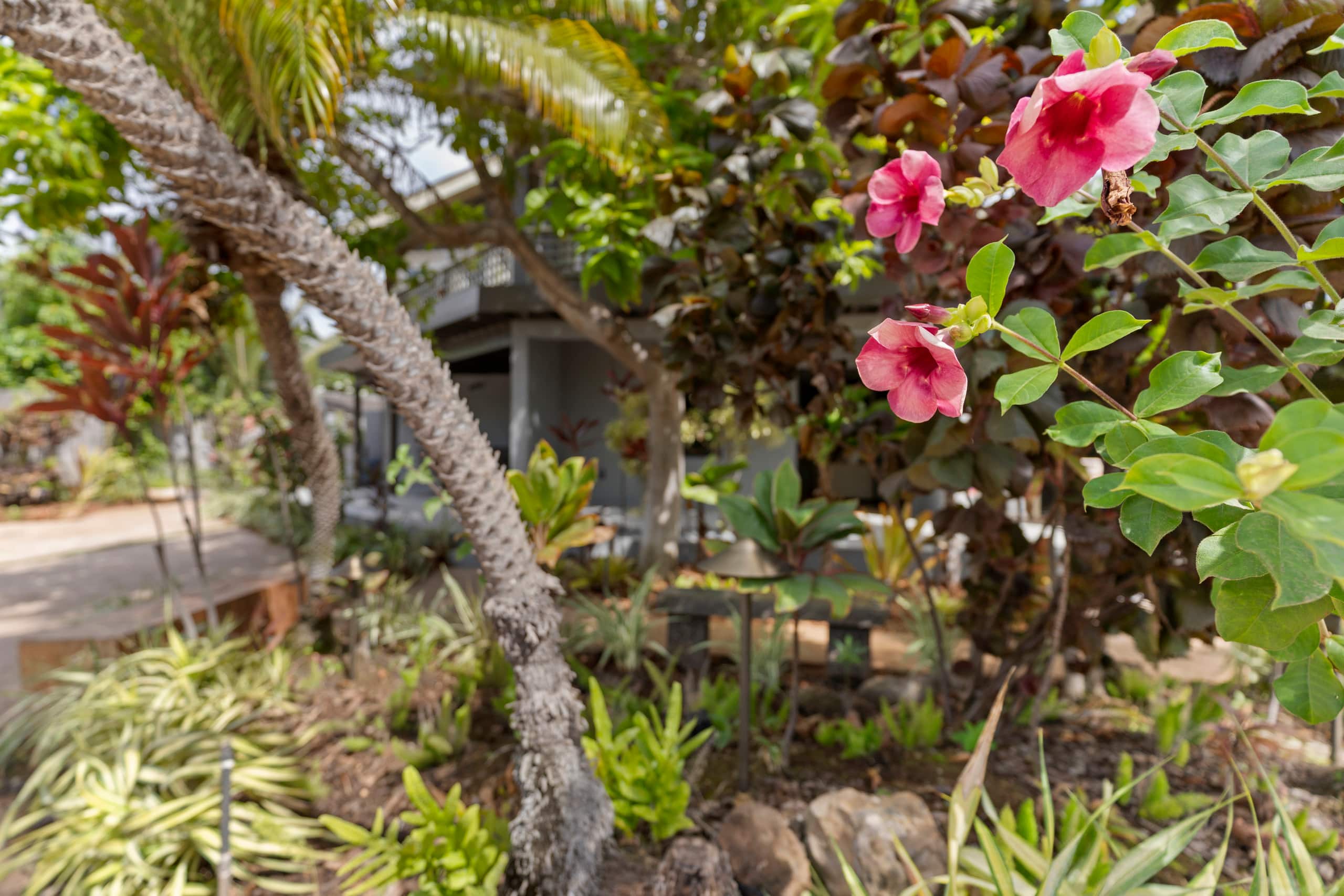 Condo in Kihei · ★4.86 · 2 bedrooms · 4 beds · 3 private baths - Image 26