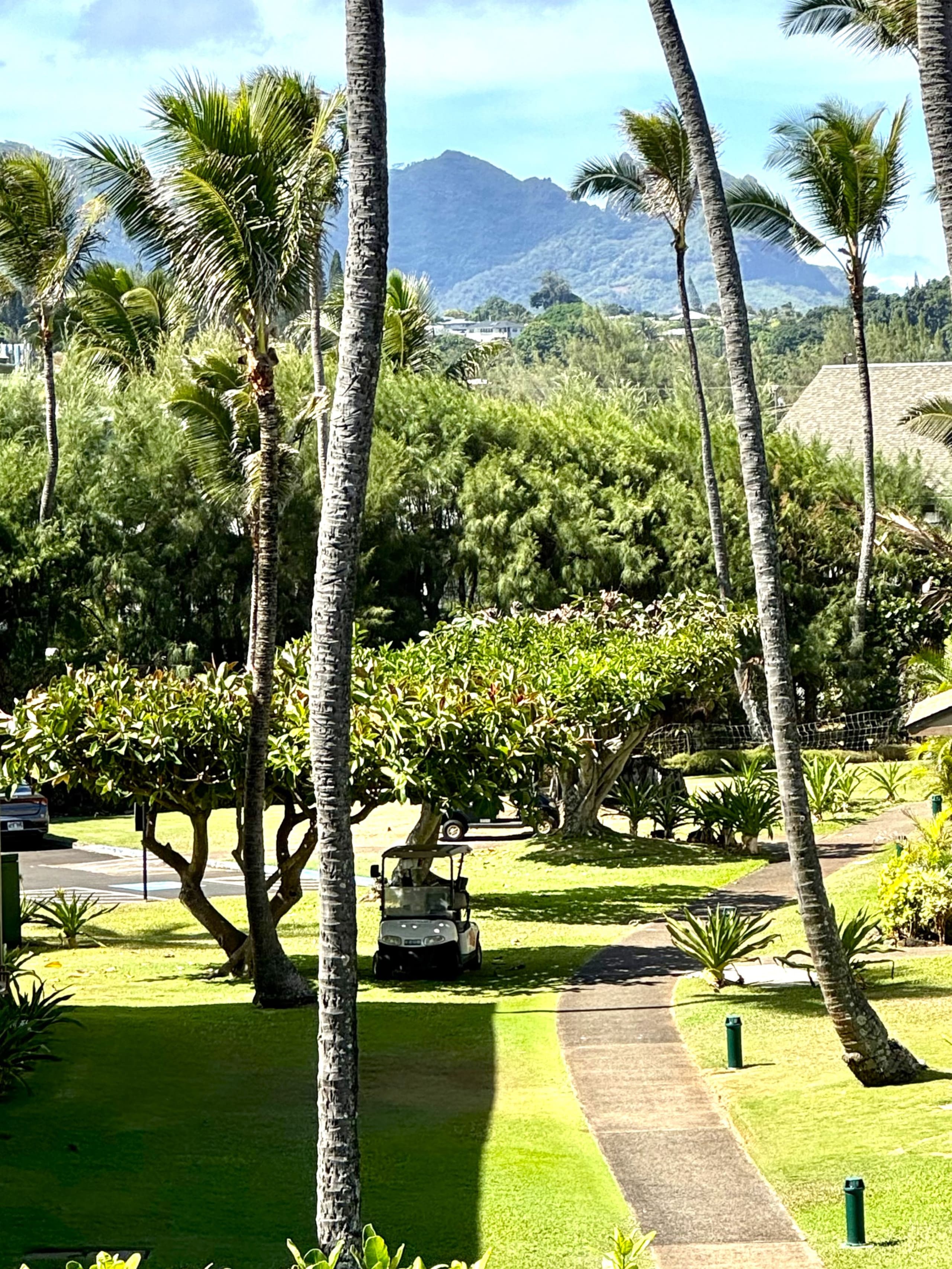 Condo in Kapaa · ★4.95 · 2 bedrooms · 2 beds · 2 private baths - Image 37