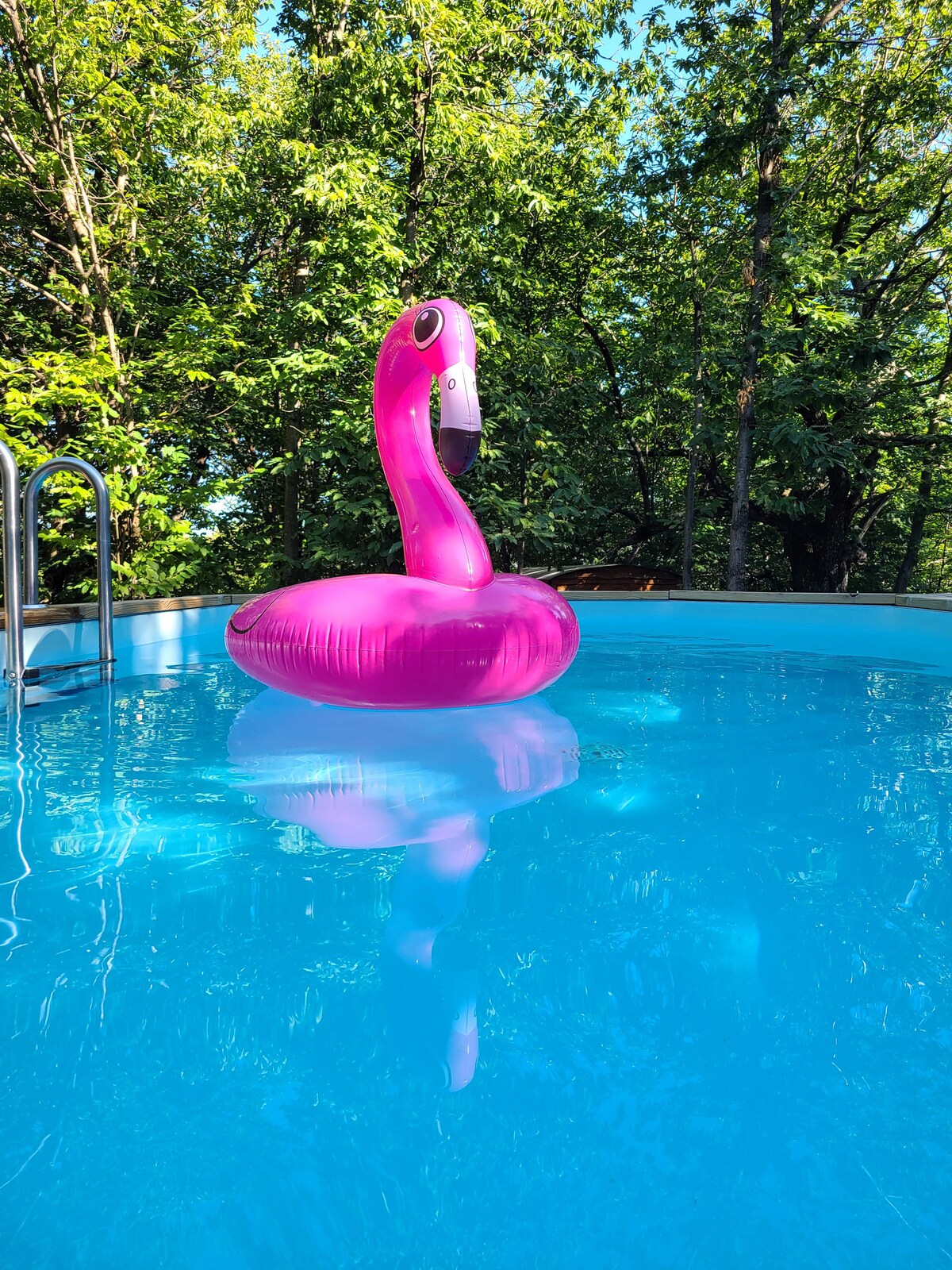 A bright pink flamingo float is positioned in the center of a clear blue pool. Surrounding trees create a natural backdrop, with sunlight reflecting off the water's surface, enhancing the tranquil outdoor setting.