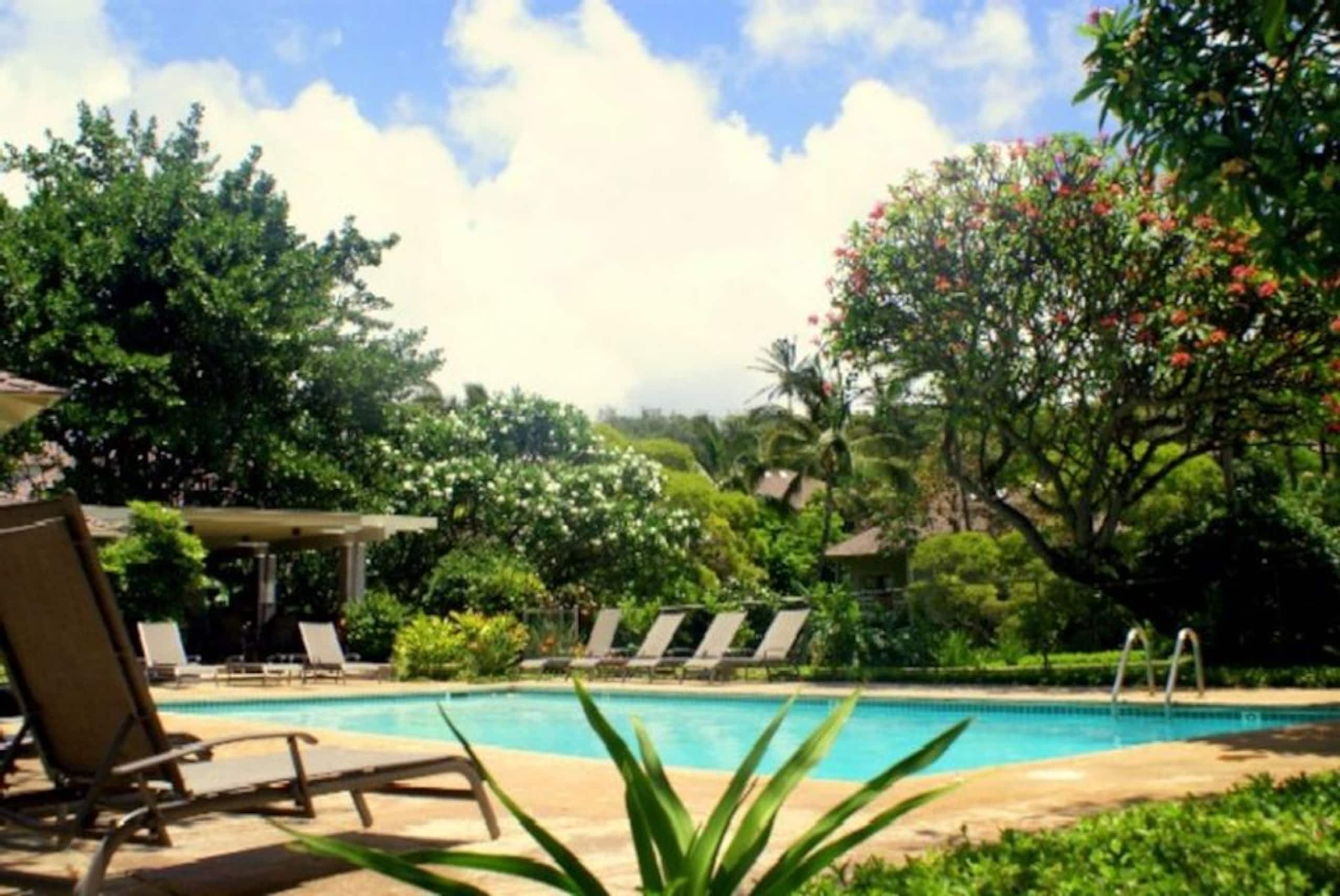 Townhouse in Koloa · ★4.84 · 2 bedrooms · 3 beds · 2 private baths - Image 16