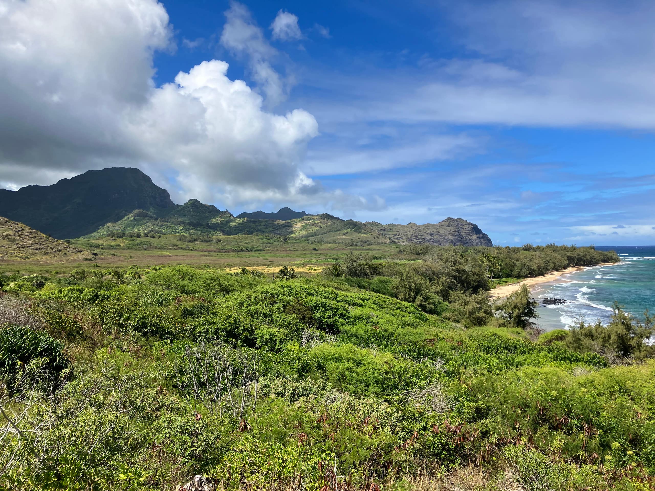 Townhouse in Koloa · ★4.84 · 2 bedrooms · 3 beds · 2 private baths - Image 20