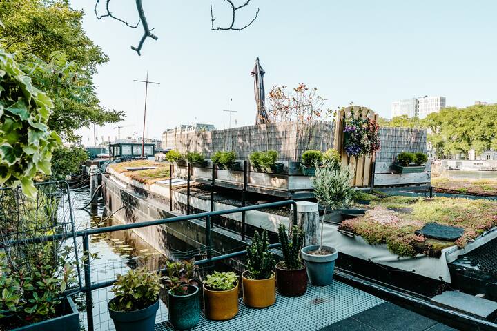 Delightful 2 bedrooms houseboat in Amsterdam-Pijp gallery image 2