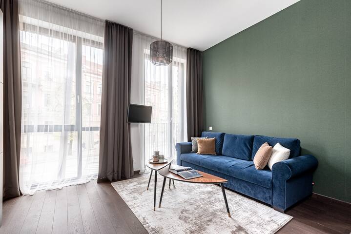 Tarptautinės Investicijos managed Airbnb listing 1