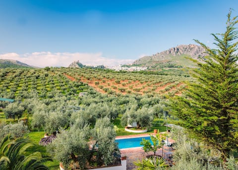 Cortijillo Agroturismo Ecologico, Central Andalucia