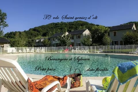 pretty t2 saint geniez d'olt on the ground floor 12