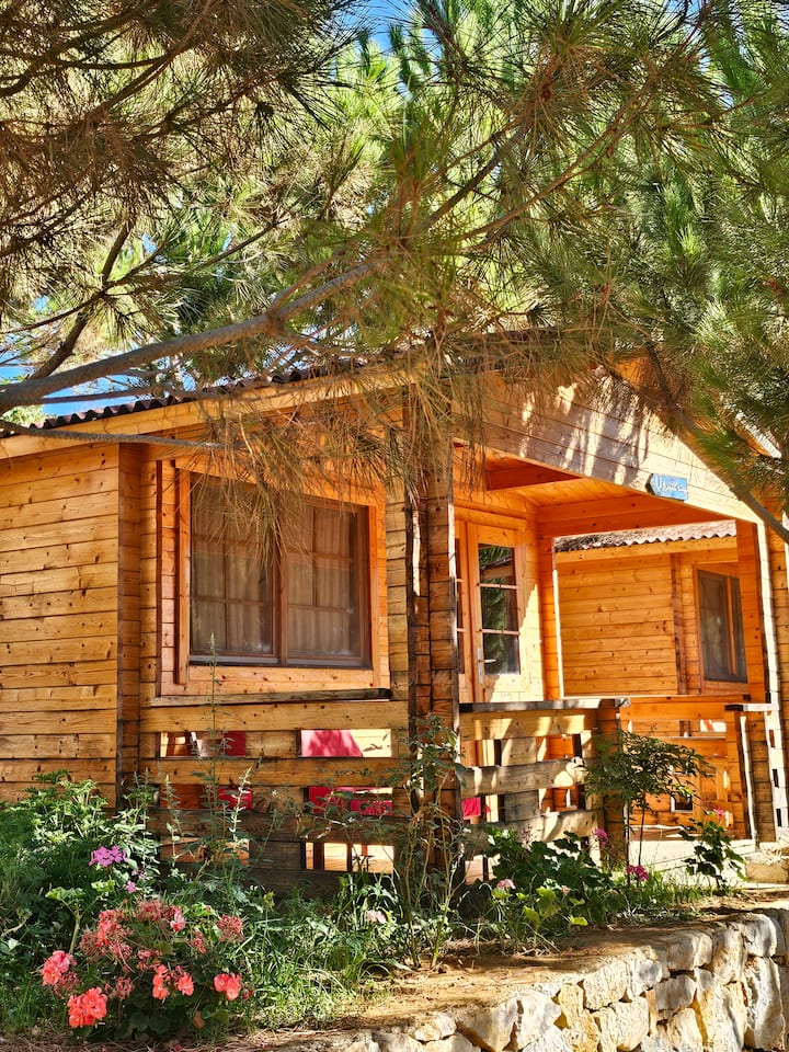 Cabin 1 - Farmville Barouk - Lebanon