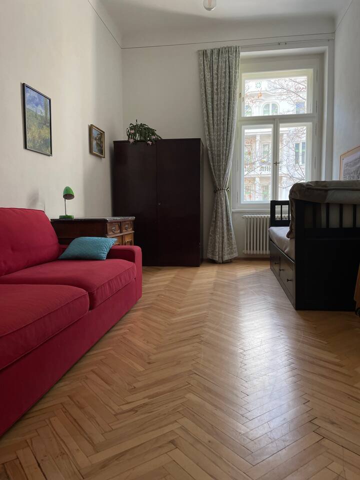 IKEA‑ს დასაკეცი საწოლი და კომფორტული დივანი. ორივე 2 ადამიანისთვისაა.