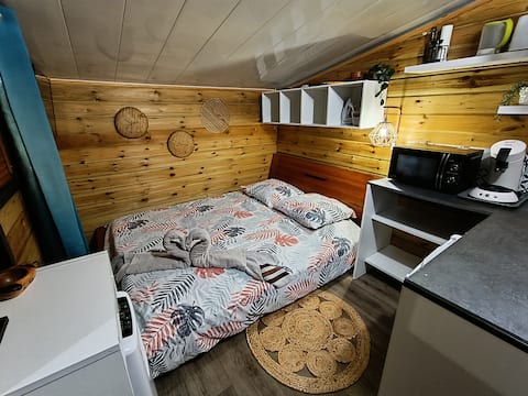 Top performing Airbnb: The eco-friendly Tropical Cabin in Saint Louis